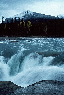 Image - Courtesy of Imagebuzz.com
