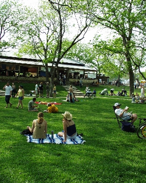 Bluebonnet Stage as seen from Onion Creek.